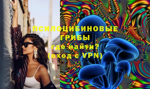 индика Алексин