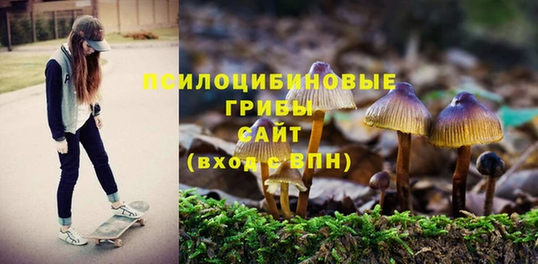 индика Алексин