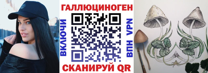 Псилоцибиновые грибы Psilocybe Таштагол